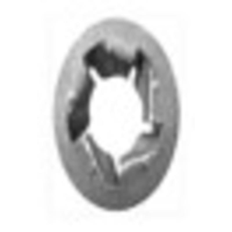 Geno Industries (112) 18-12122 PUSHNUT BOLT RETAINER M5-.8 11MM OD - ZINC